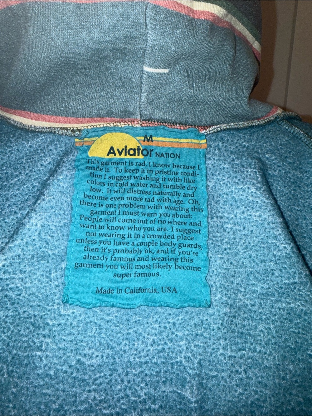 Aviator Nation Multicolor Striped Zip Hoodie with Bolt Logo - Picture 4 of 4